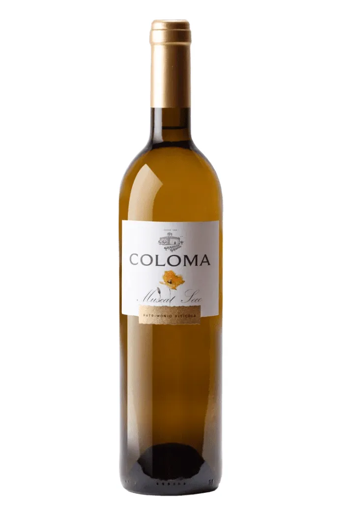 Coloma Muscat