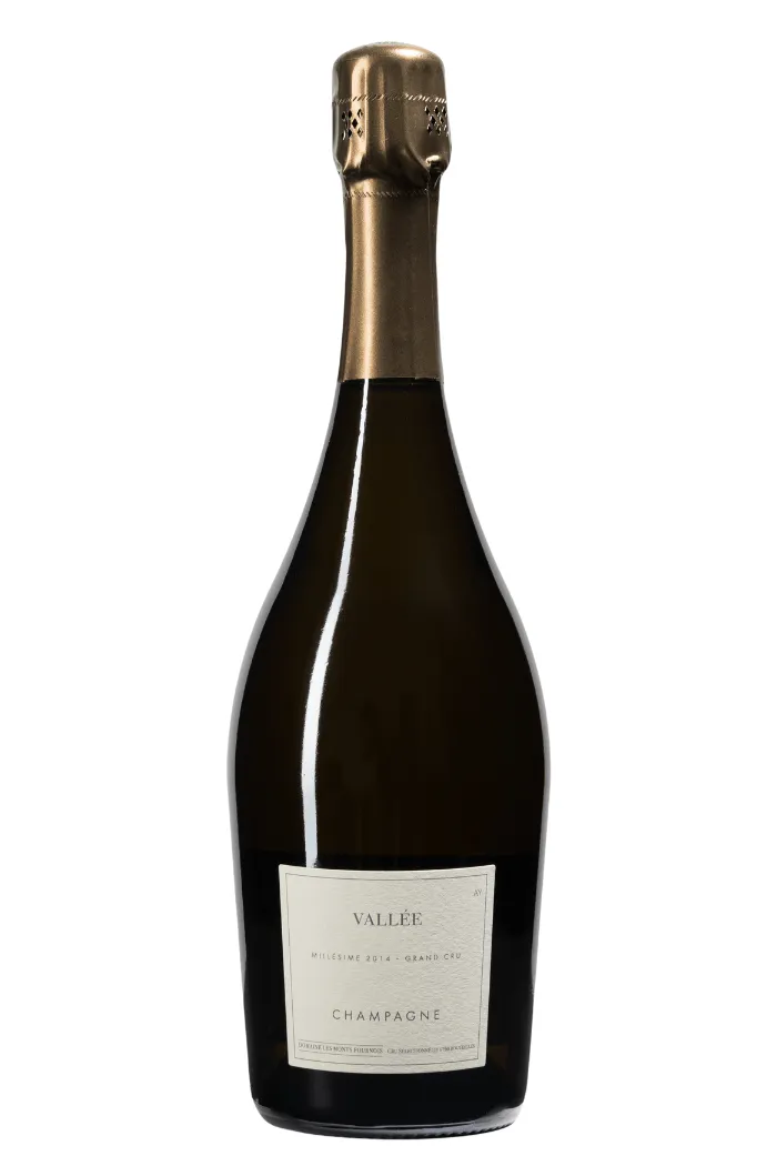 Les Monts Fournois Vallée Grand Cru Aÿ Extra Brut