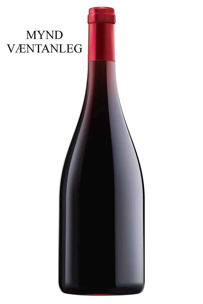 Georges Noëllat Nuits-Saint-Georges 1er Cru Les Saint-Georges